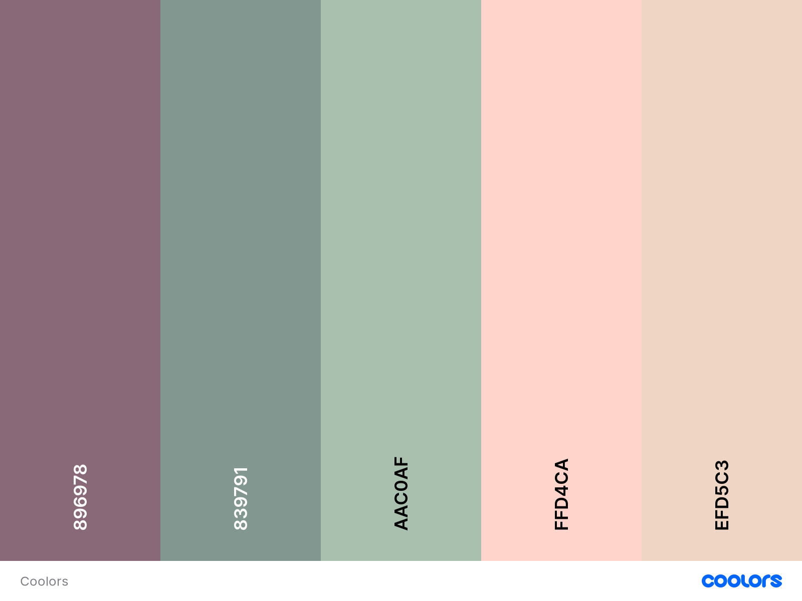 using moderate number of colours in your website design guidelines