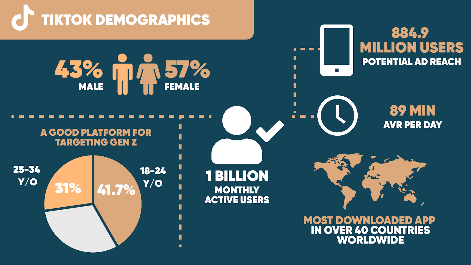 tiktok demographics