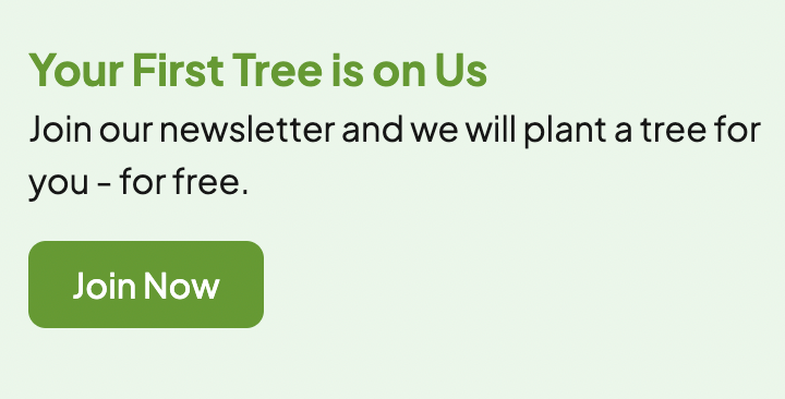 click a tree copy